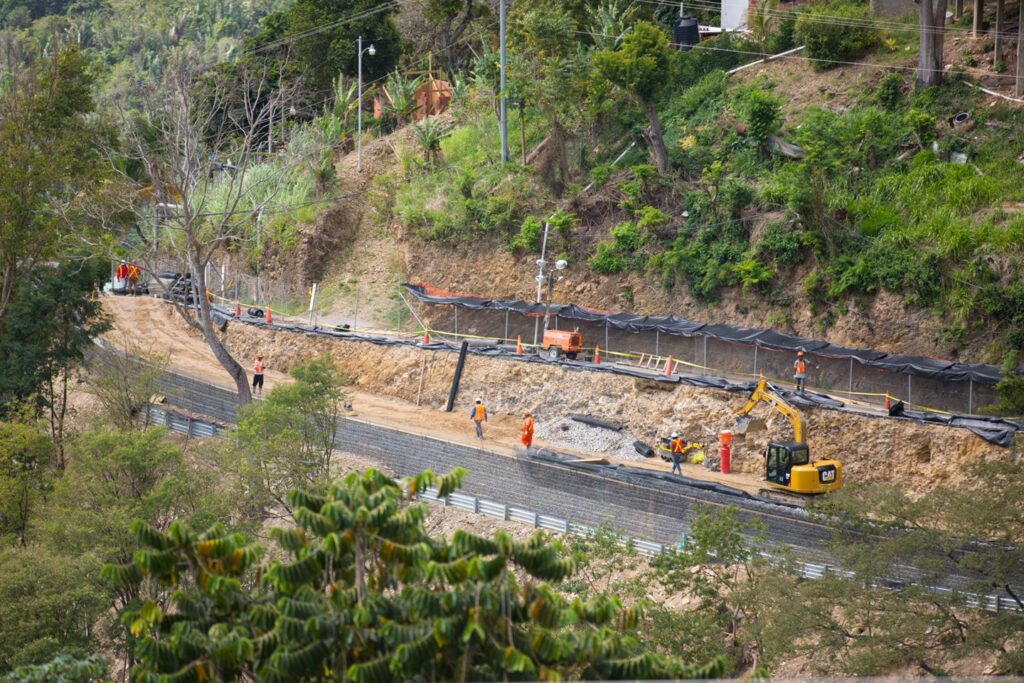 geogrid roadway slope reinforcement