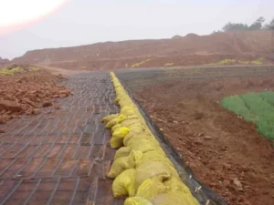 Soil Stabilization Geogrid